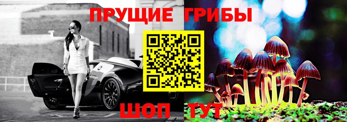 дарнет шоп  Псилоцибиновые грибы Cubensis  Вход с VPN  Тулун  Псилоцибиновые грибы GOLDEN TEACHER 